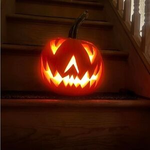 Carved pumpkins , black cats, cozy sweaters, cup of hot cocoa with your BF